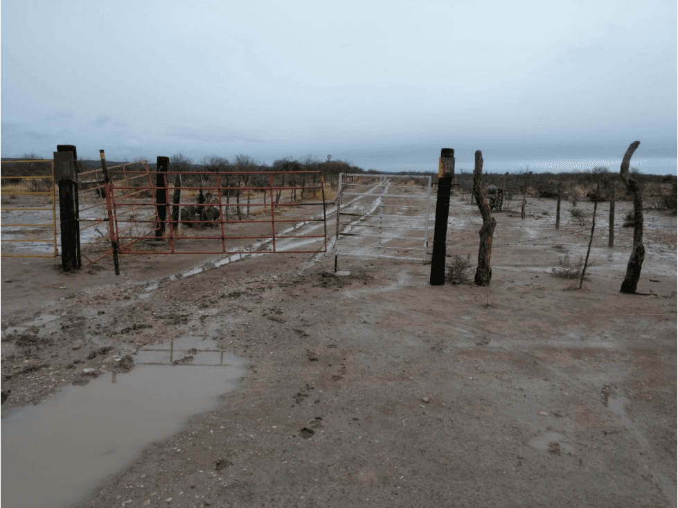 TERRENO 50 HAS, SAN JUAN DE SABINAS, COAHUILA - 1