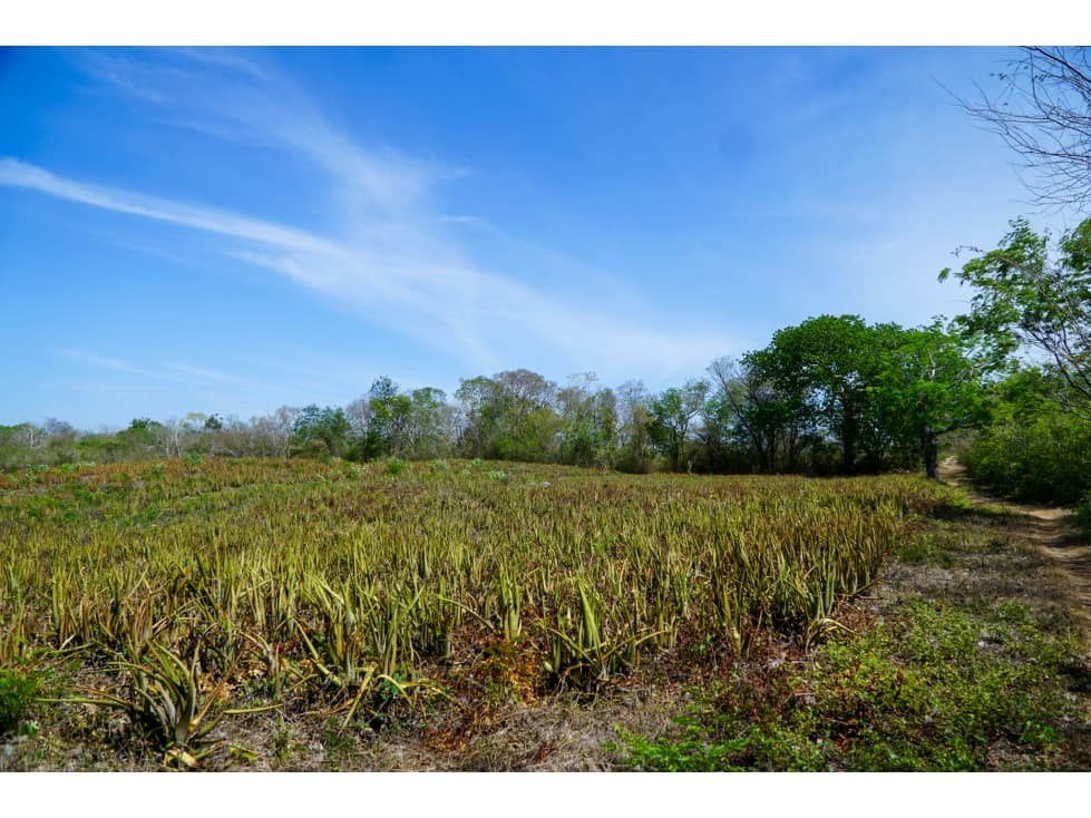 Rancho 15 hectares - 1