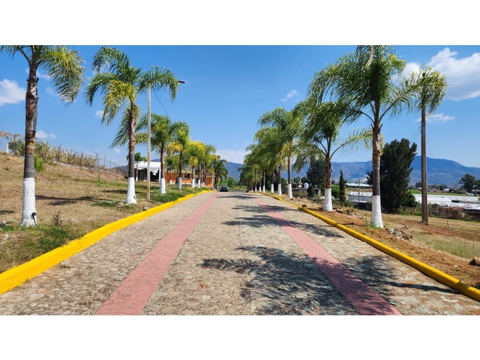 Lotes en Venta en La Finca, Villa Guerrero. - 1