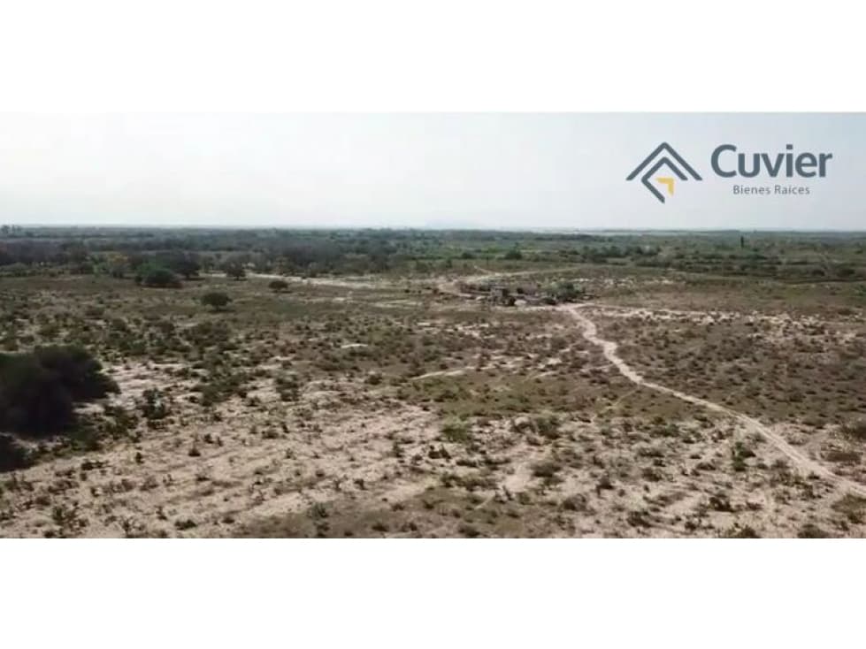 TV2101-DM TERRENO EN VENTA, BLVD DE LOS RIOS, ALTAMIRA -PRECIO x HA - 1