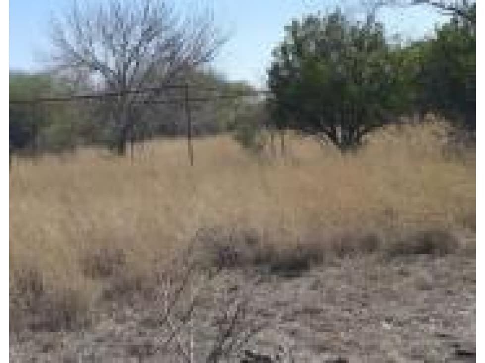 TERRENO CAMPESTRE EN VENTA EN MONTEMORELOS EDA - 1