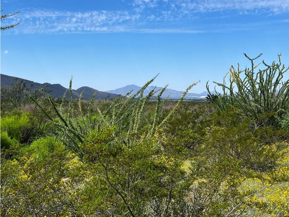 TERRENO CAMPESTRE EN VENTA EN RAMOS ARIZPE COAH. NLC - 1