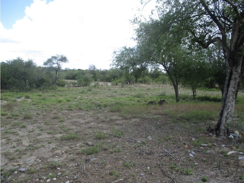 Terreno en Venta Botellos, Cerralvo - 1