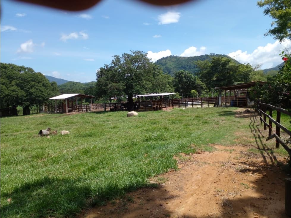 PRODUCTIVO RANCHO EN VILLACORZO - 1