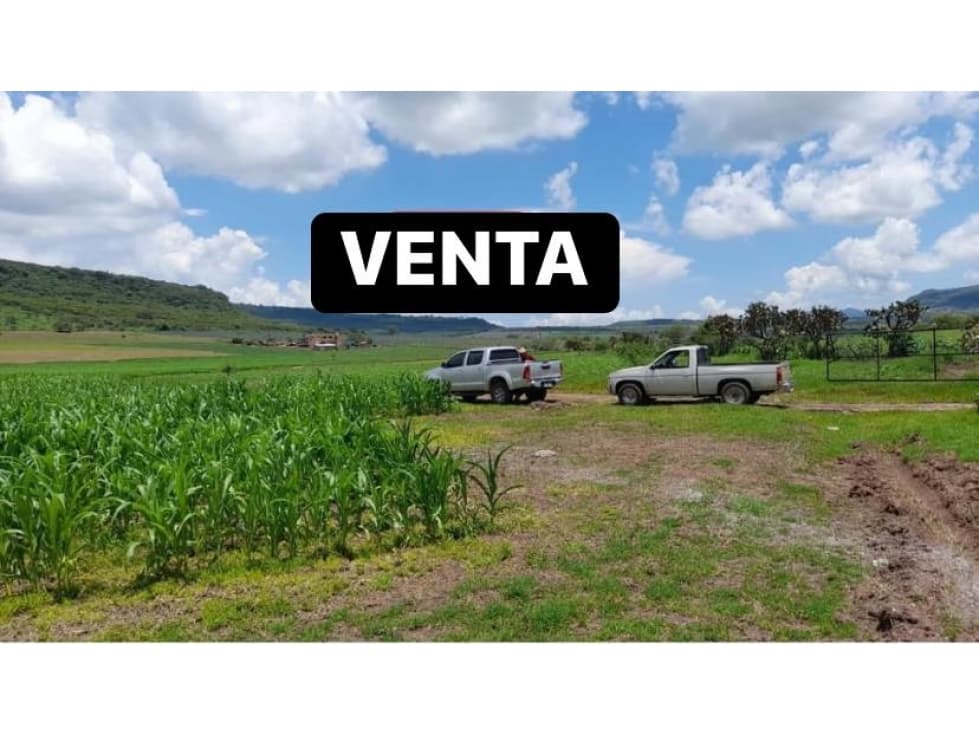 EN VENTA 200 HECTAREAS EN VENTA EN COLOTITLAN JALISCO - 1