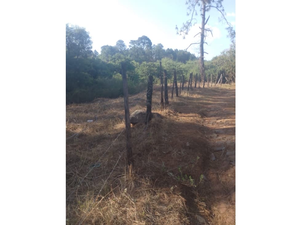 Bonito terreno céntrico en zona de bosque de Mazamitla, Jalisco - 1