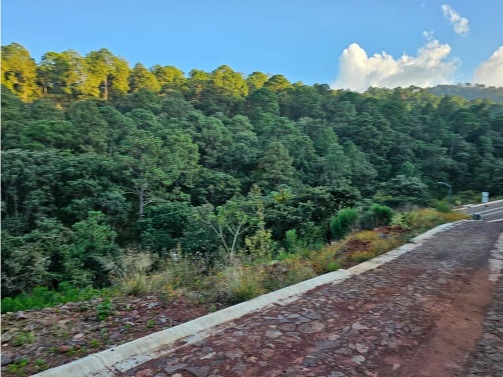 Bonito terreno en zona de bosque de mazamitla jalisco - 1