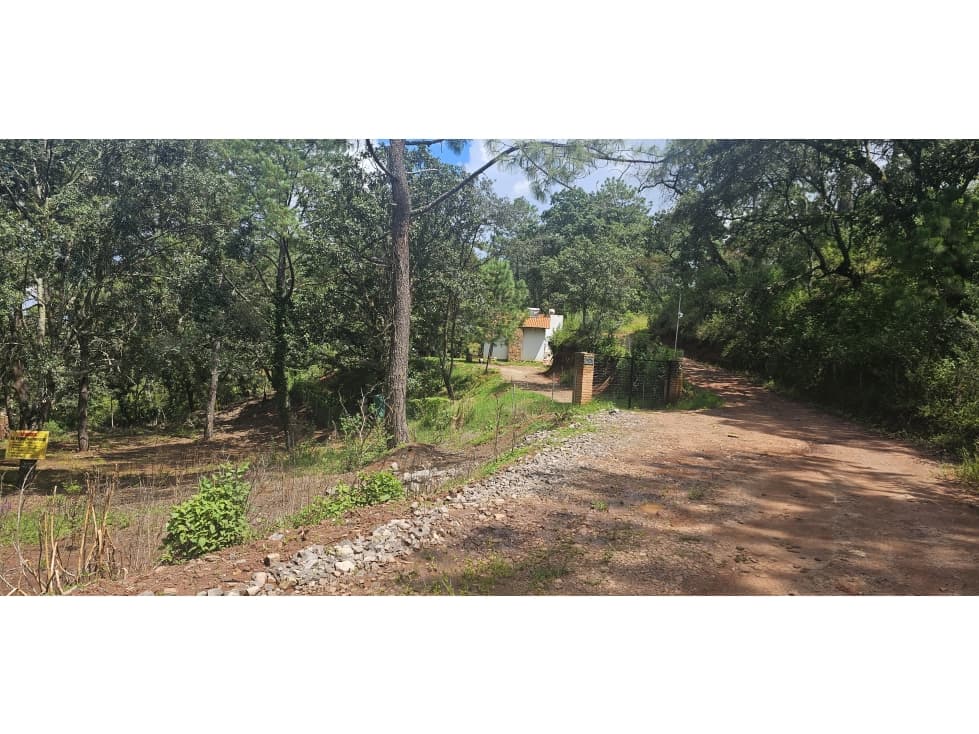 Bonito terreno en zona de bosque de mazamitla jalisco - 1