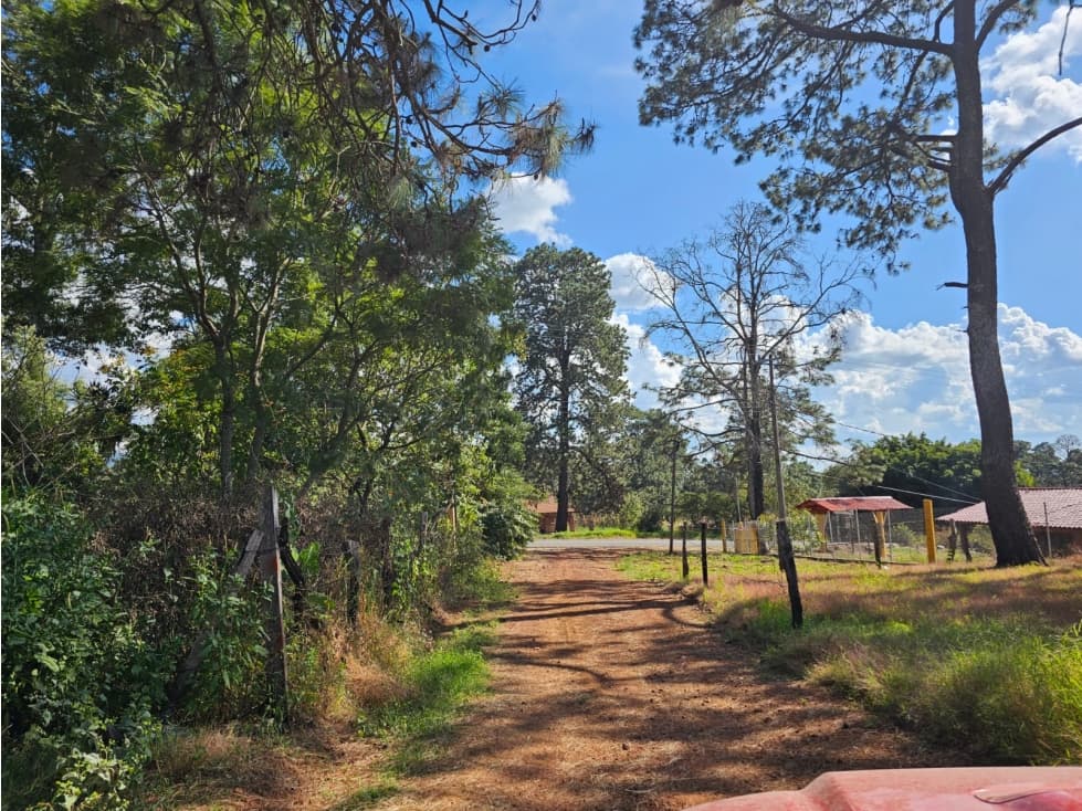 Bonito terreno en zona de bosque de mazamitla, jalisco - 1