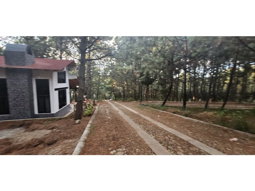 Bonito terreno en zona de bosque de mazamitla jalisco - 1