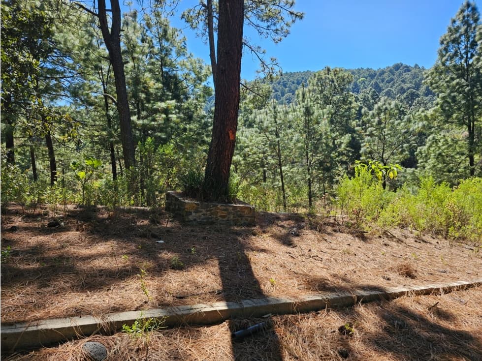 Bonito terreno en zona de bosque de mazamitla jalisco - 1