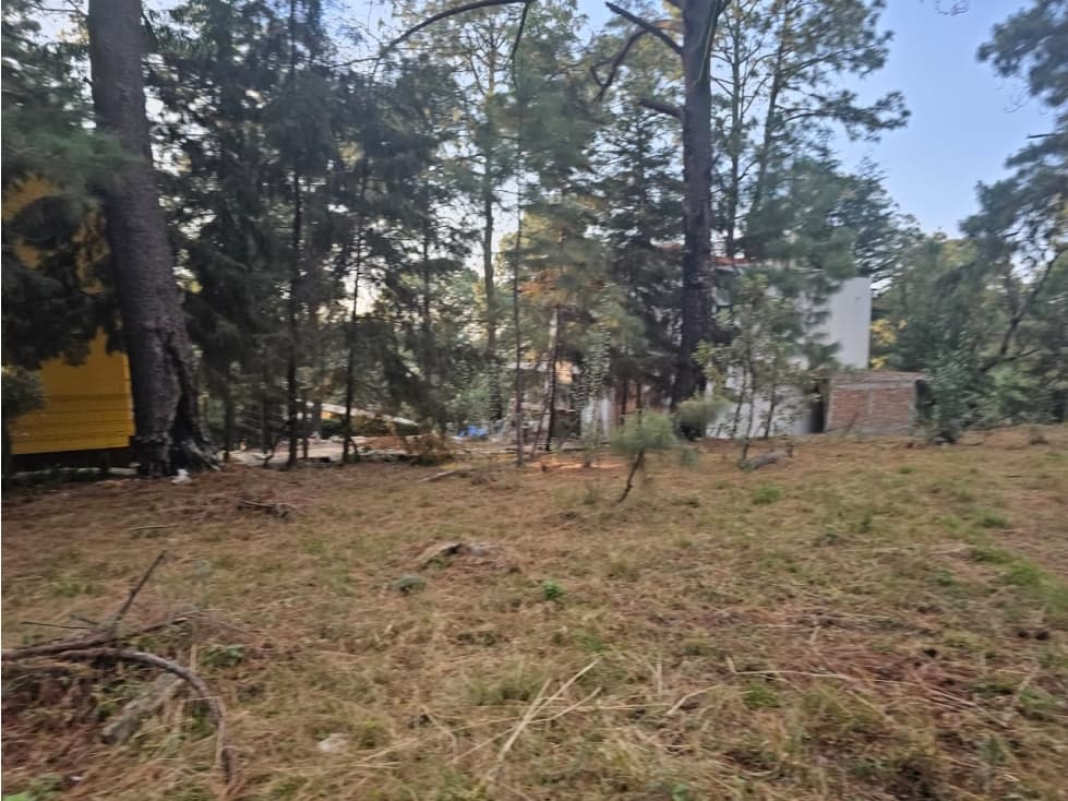Bonito terreno en zona de bosque de mazamitla jalisco - 1