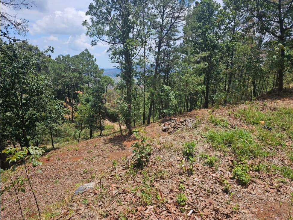 Bonito terreno en zona de bosque de mazamitla jalisco - 1