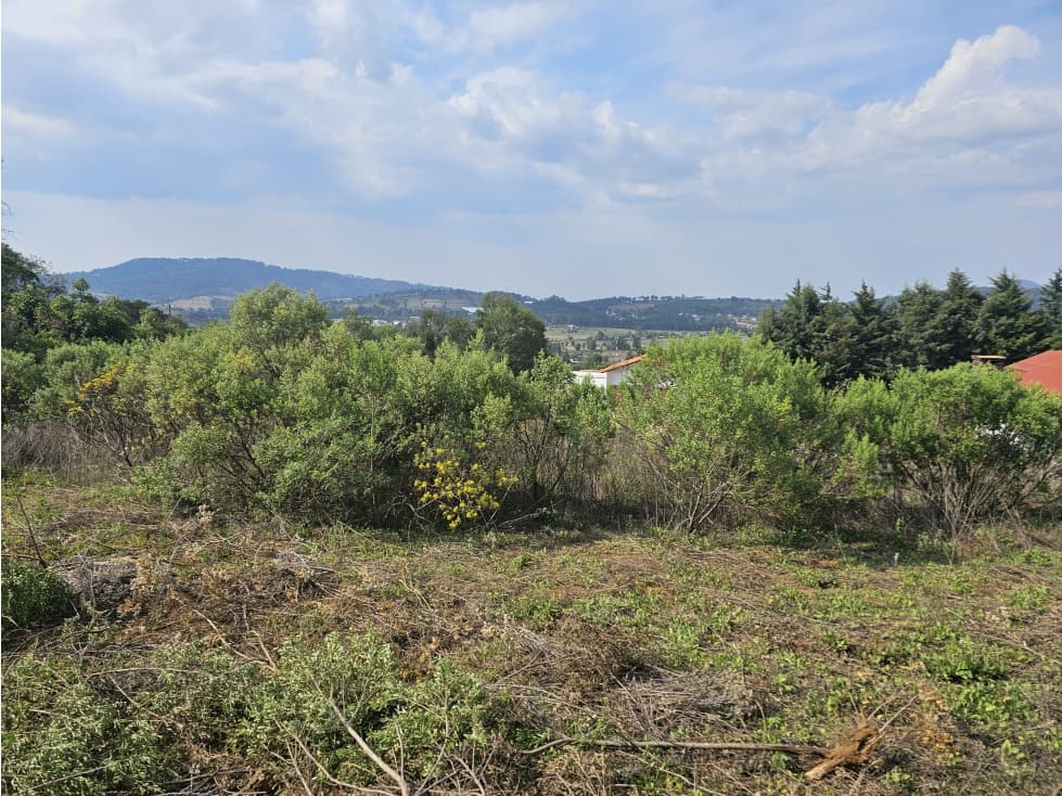 Terreno centrico con vista al bosque de Mazamitla jalisco - 1