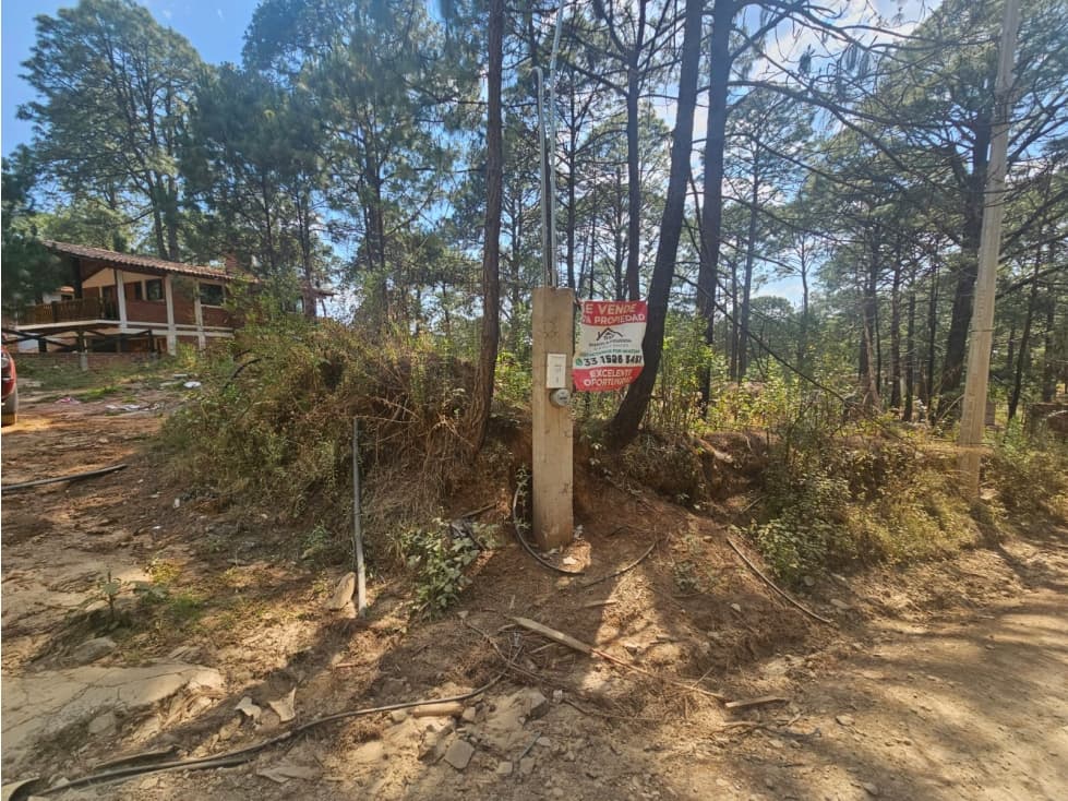 Terreno céntrico en el bosque de mazamitla - 1