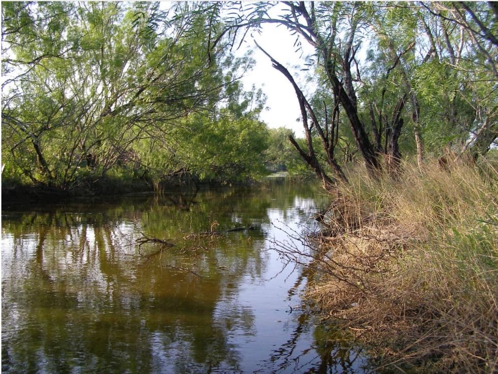 Terreno en Venta Sabinas hidalgo - 1