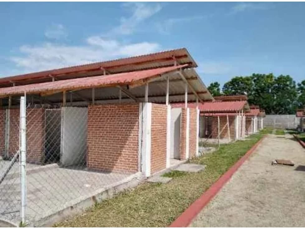 PENSIÓN PARA PERROS EN VENTA EN YAUTEPEC - 1