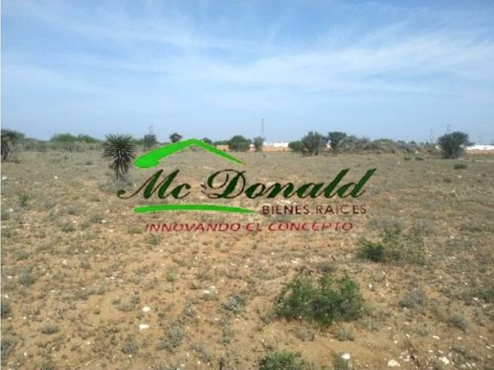 TERRENO EN VENTA AVENIDA LOMA REAL - 1