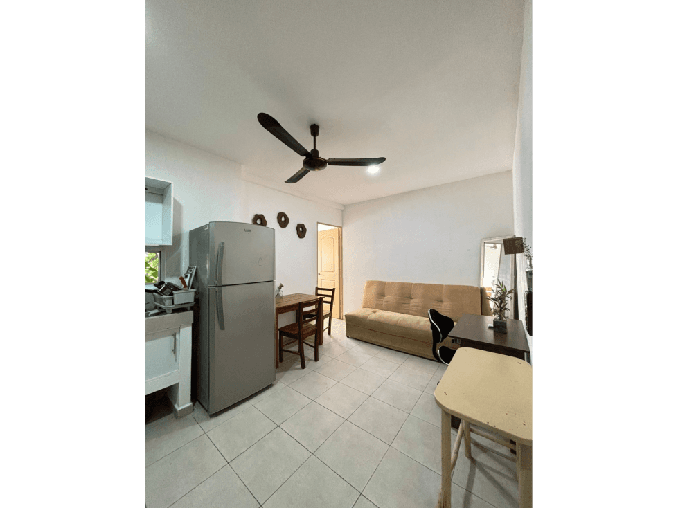 DEPARTAMENTO EN RENTA CERCA DE FEDERAL Y AV JUAREZ - 1