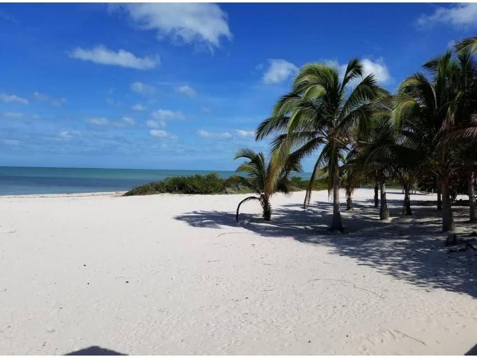 Terrenos en Venta en Merida Yuc. - 1