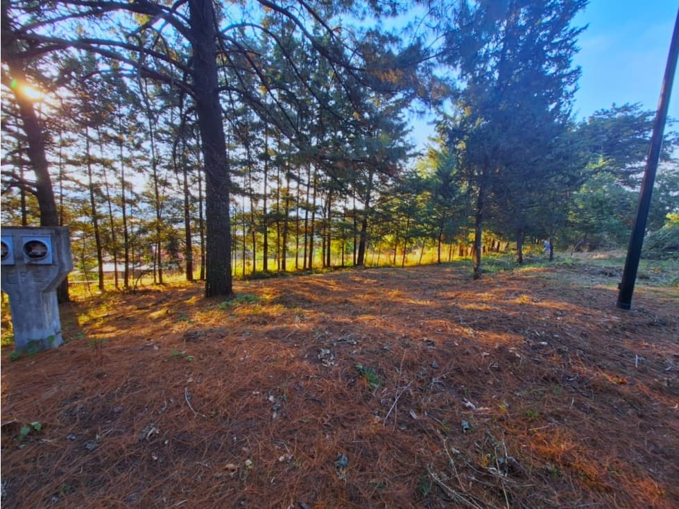 Terreno en venta en Bosques De Pátzcuaro - 1
