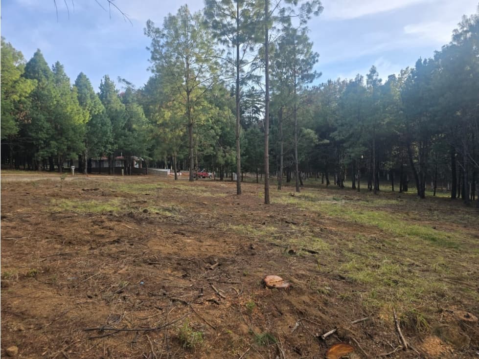 Terrenos en venta en La Vitela Patzcuaro - 1