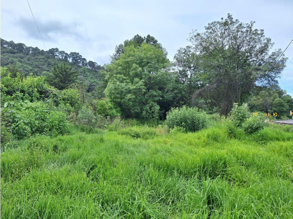 Terreno en venta sobre Carretera Santa Ana Patzcuaro - 1