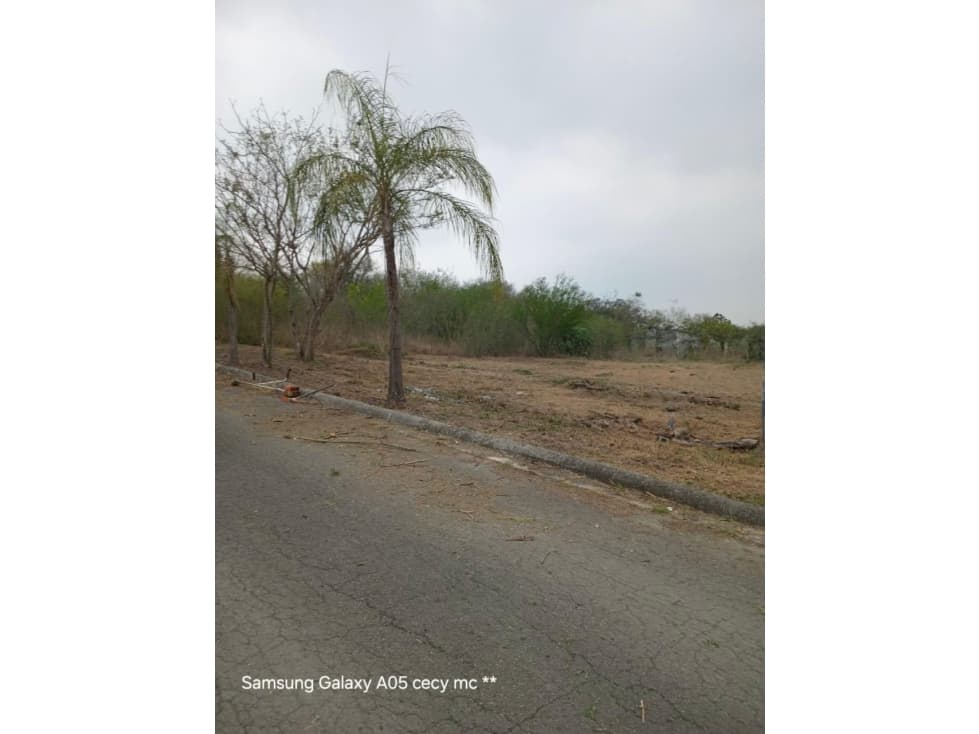 NBA TERRENO EN VENTA EN LA JOYA CAMPESTRE BOUTIQUE EN MONTEMORELOS - 1