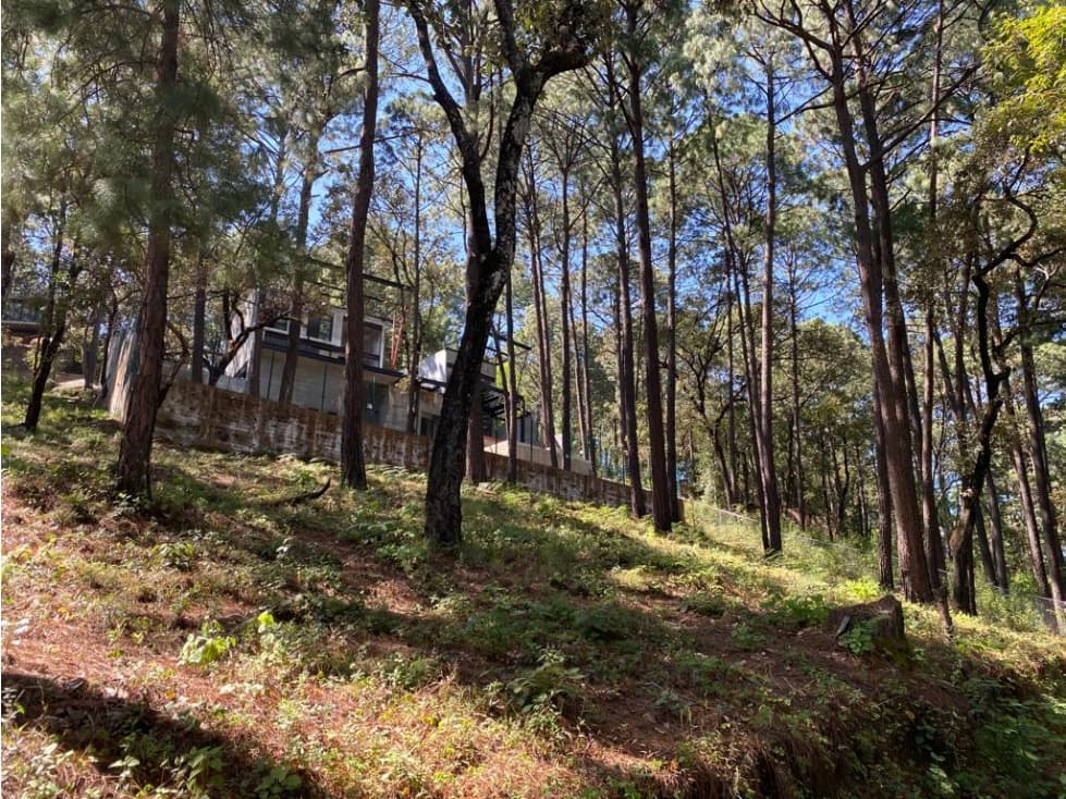 BONITO TERRENO - 1