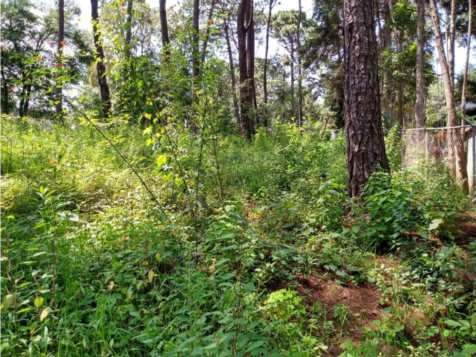 TERRENO EN CONDOMINIO UBICADO EN AVANDARO - 1