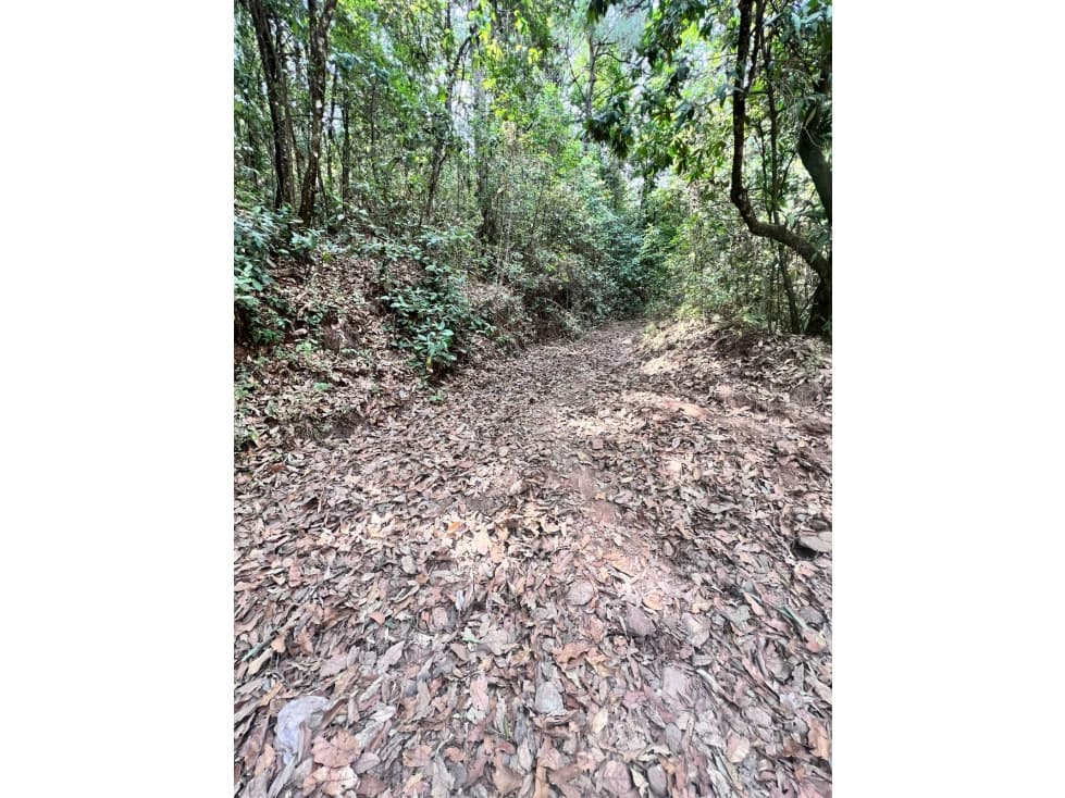 TERRENO EN VENTA EN VALLE DE BRAVO (ZONA LOS ALAMOS) P - 1
