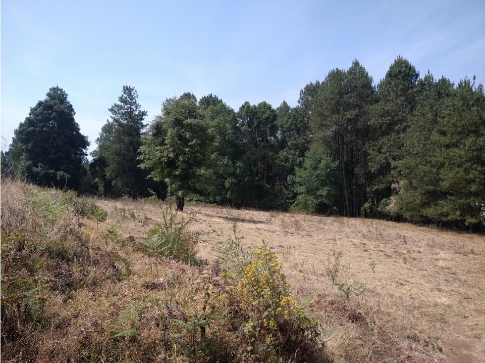 Rancho en Venta ubicado en el Trompillo Valle de Bravo C - 1