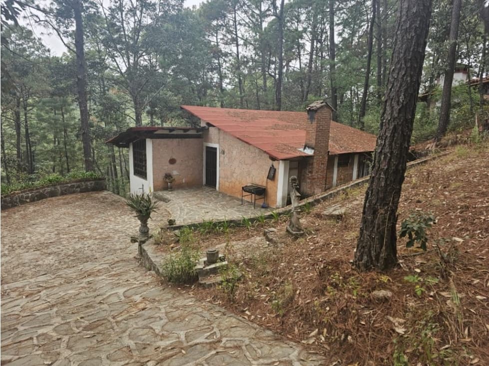 Bonita cabaña con vista al bosque de mazamitla, jalisco. - 1
