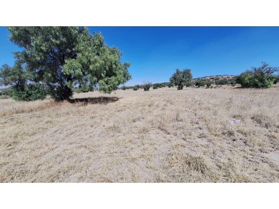 Buscas invertir en un terreno con enorme potencial - 1