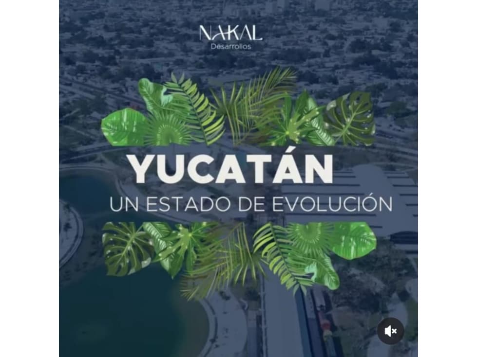 Deja de Soñar con la Riqueza y Empieza a Construirla! Invierte HO - 1