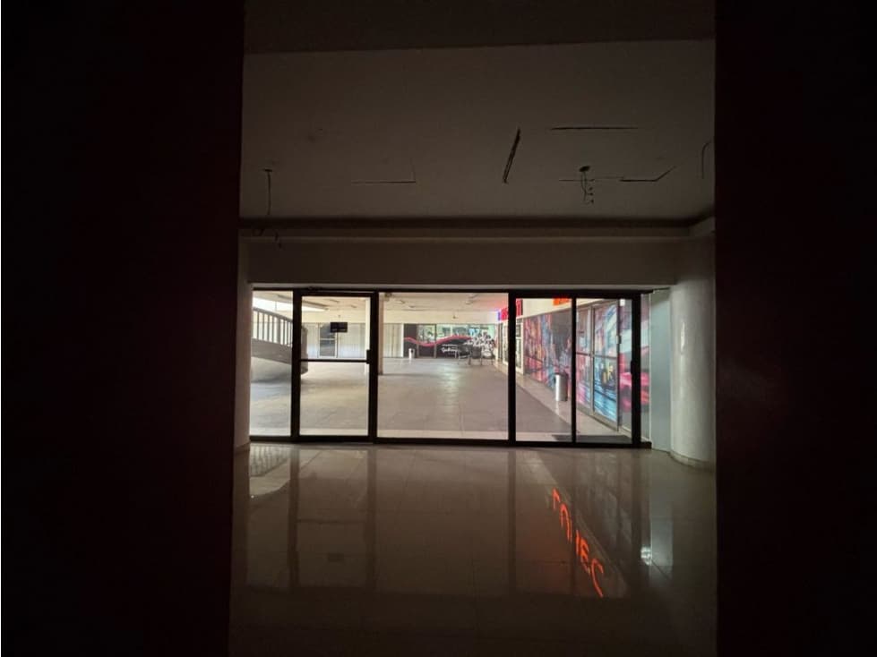 LOCAL EN RENTA, CENTRITO SPGG - 1