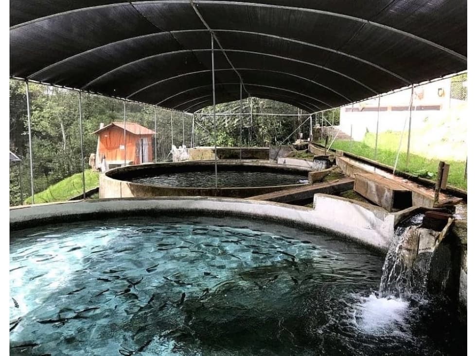 RANCHO CON MANANTIAL | DONATO GUERRA - 1