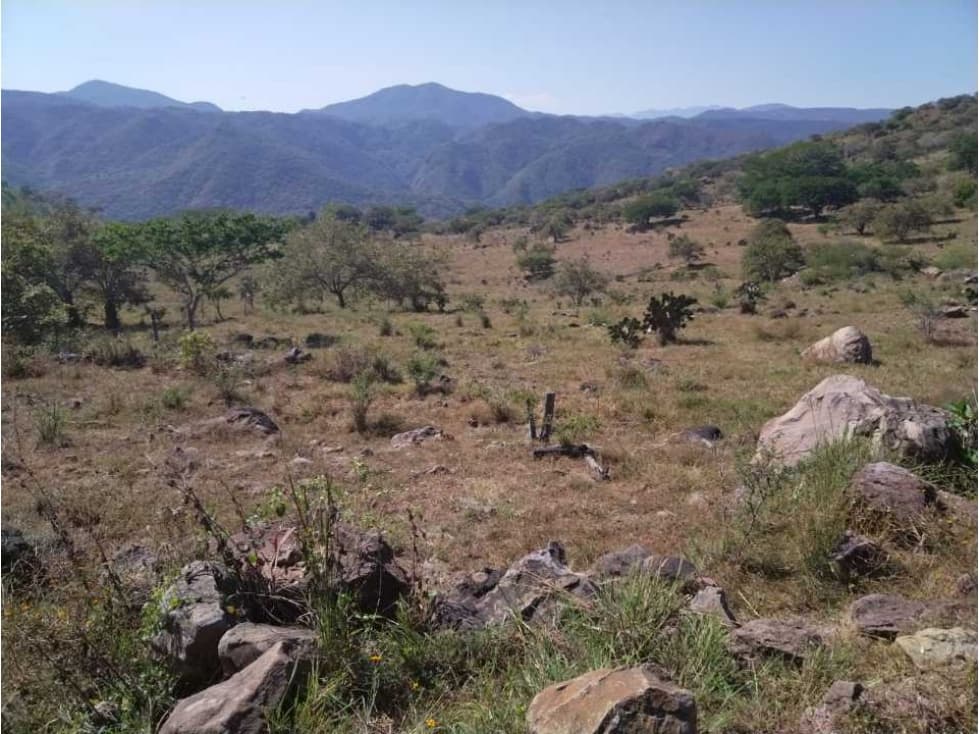 REMATE 468 HECTAREAS EN AMECA CERCA DE ETZATLAN JAL. - 1