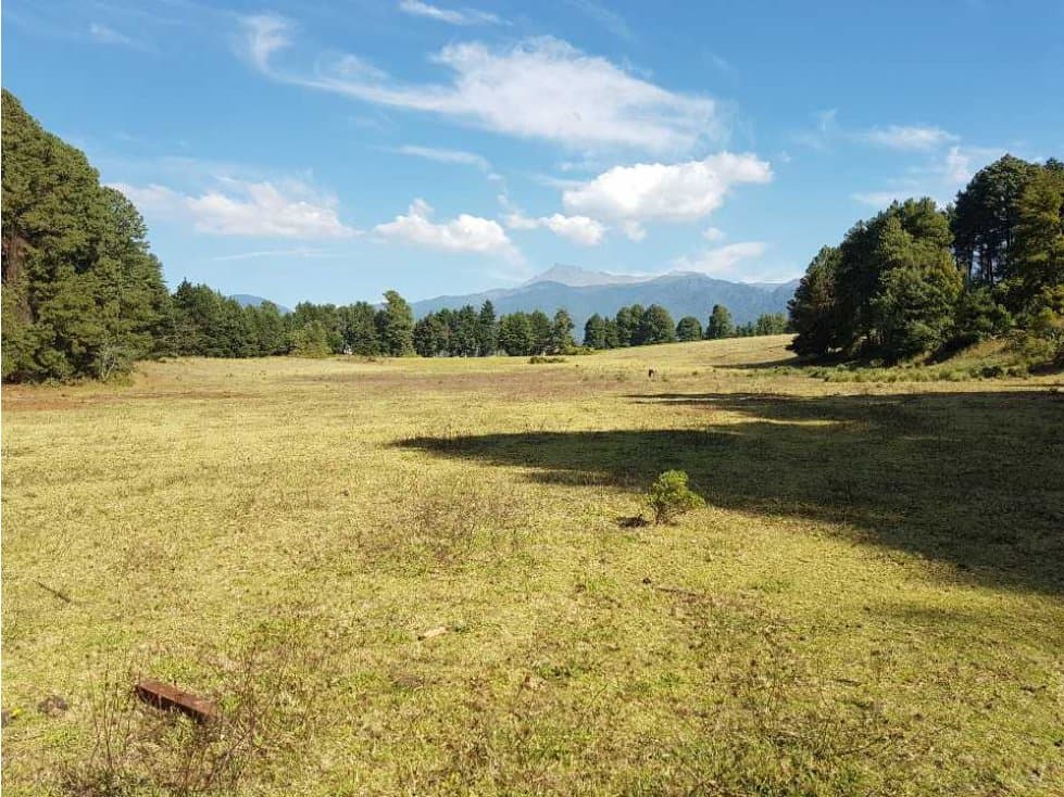 Terreno agrícola con 30 hectáreas en Agua Amarga ,Coatepec Harinas. - 1