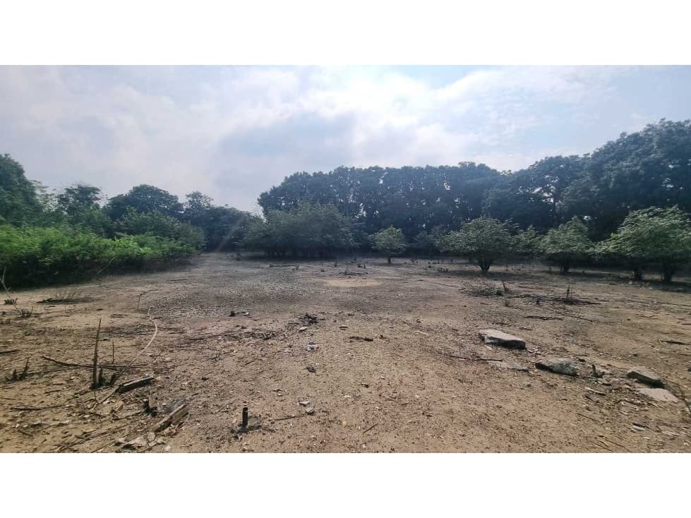 Terreno en Venta. bandeado en Prol. De Vicente Guerrero. - 1