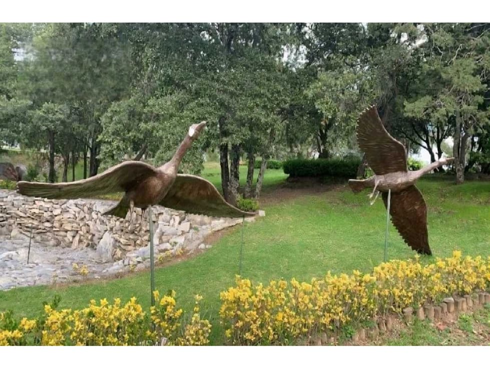 Terreno en Venta en Lago Norte, Haras Campestre - 1