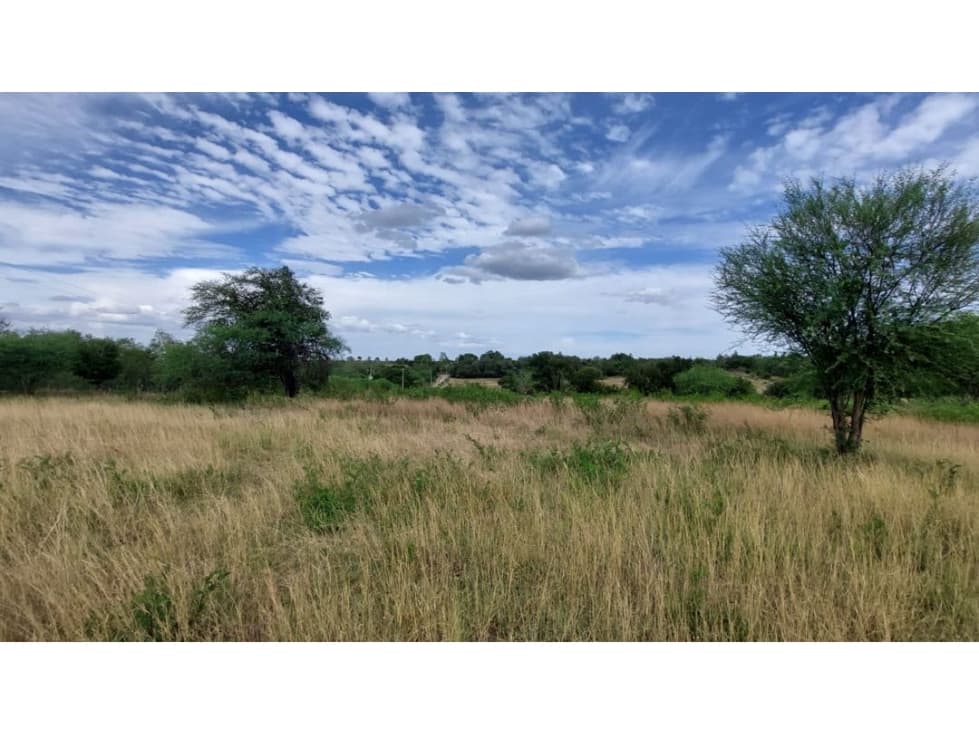 Terreno en venta en Montemorelos - 1