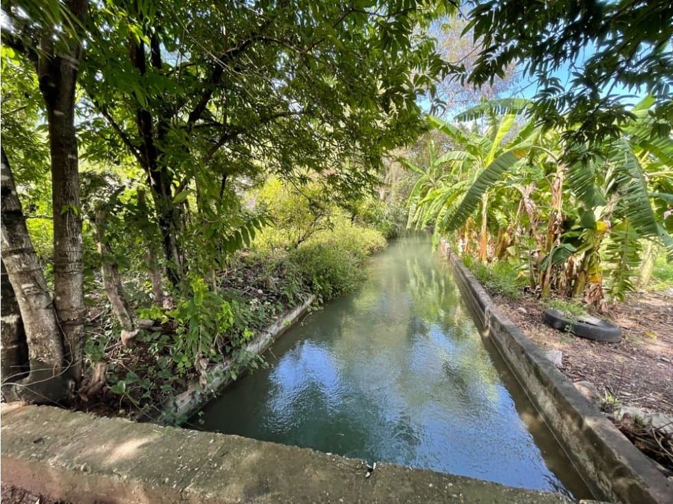 Terreno en venta en Morelos Tlalquitenango - 1