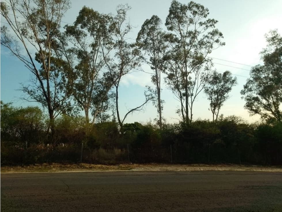 Terreno en Venta Haras del Bosque - 1