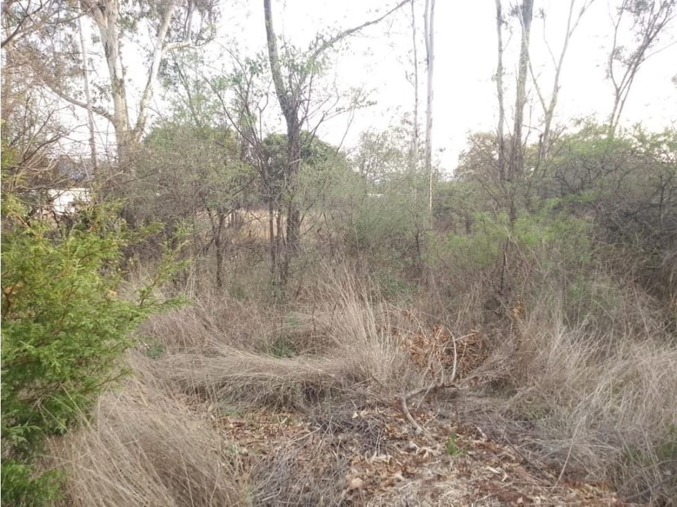 Terreno en Venta Haras del Bosque - 1
