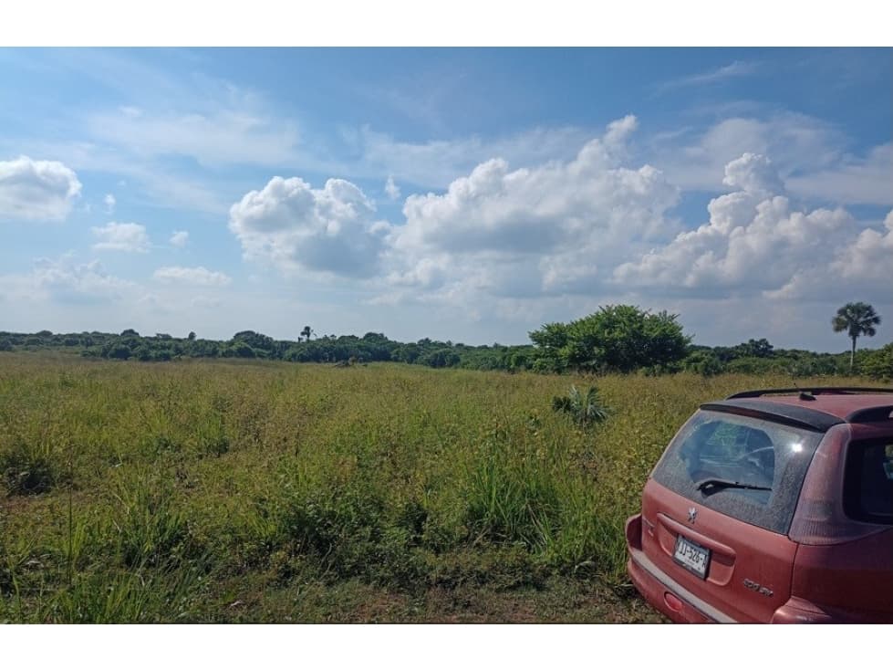 TERRENO EN VENTA IDEAL PARA GRANJA AVICOLA 19 Ha., SIEMBRA DE LIM - 1
