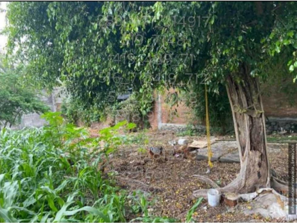 TERRENO RESIDENCIAL EN VENTA 3 DE MAYO EMILIANO ZAPATA MORELOS - 1