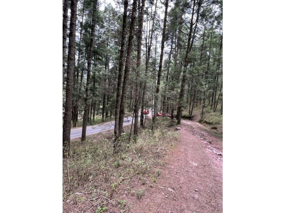 Venta de Terreno 40 hectáreas ideal ecoturismo en Mineral del Chico - 1