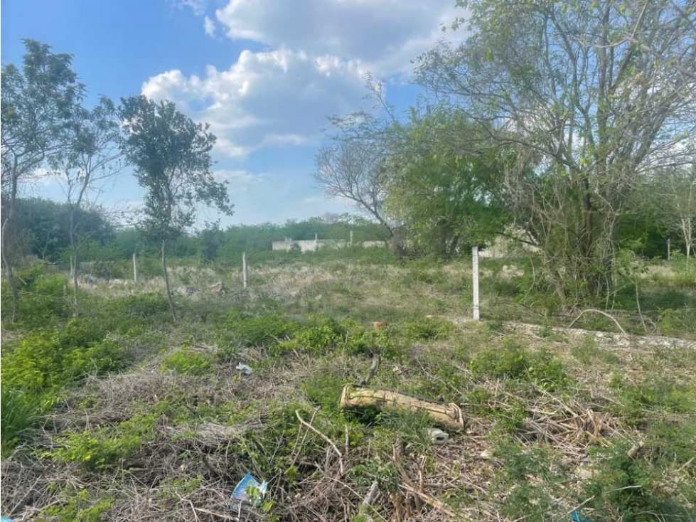 VENTA DE 2 TERRENOS EN CAUCEL / JUNTOS SON 5400 M2 (1200 M2 Y 4200 M2) - 1