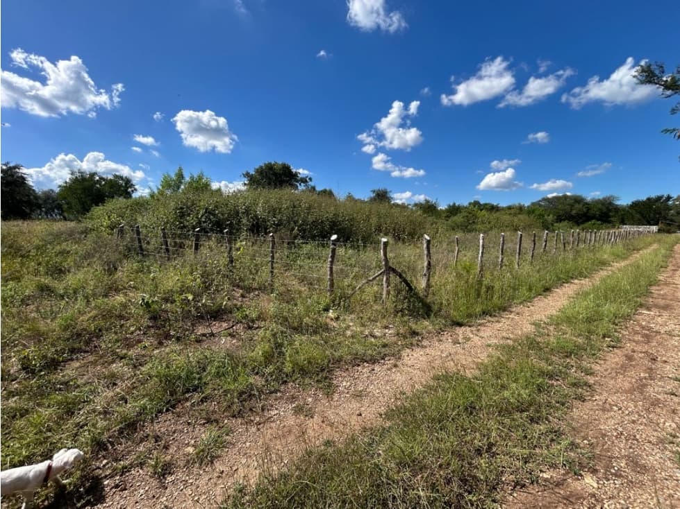 Venta de TERRENO Las Puentes, Montemorelos, N.L. - 1